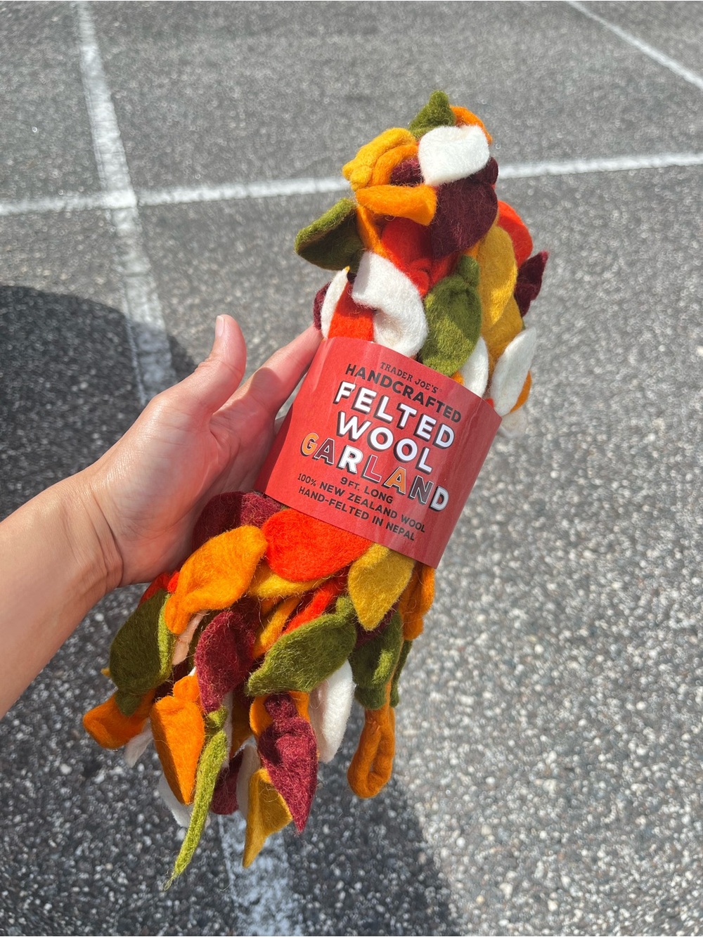 New 2026 Trader Joes Felted Wool Garland🎃